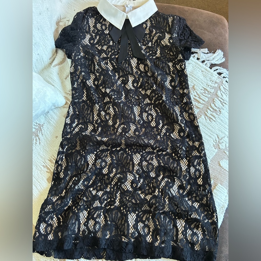 Betsey Johnson Black Lace  Dress with White Collar